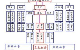 生活常识判断题及答案，生活常识试题及答案