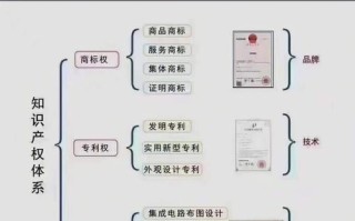 常识资本投资，资本投资的流程