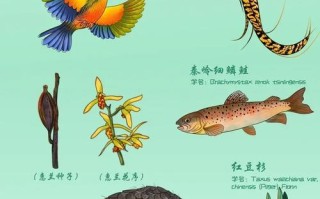 植物生活常识，植物生活常识大全