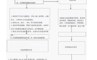 静脉注射常识，静脉注射的操作要点和步骤