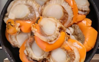 扇贝销售常识 - 卖扇贝赚钱吗