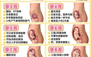 怀孕后小常识，孕妈妈小常识