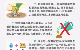 生活常识韭菜（韭菜相关知识）