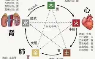 中年养生常识（中年人的养生）