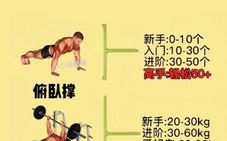 胸肌训练常识（胸肌训练常识有哪些）