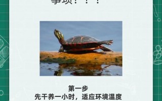 养殖基本常识（养殖业常识）