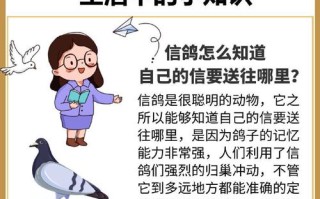 科学自然常识，科学自然常识有什么