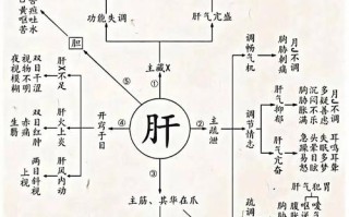 人体机能常识（人体机能常识有哪些）