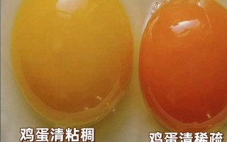 土鸡蛋的常识（土鸡蛋的种类）