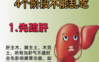 脾胃养生常识 - 脾胃如何养生与治疗