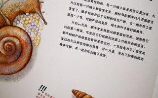 科学常识绘本 - 科学类绘本