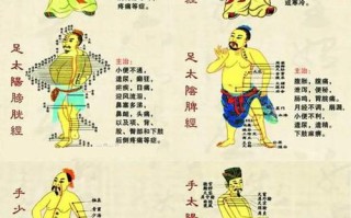 中医常识书单 - 中医常识书单大全