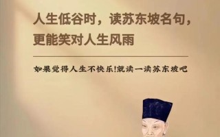 关于苏轼常识（关于苏轼的知识点）