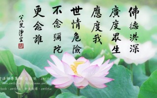 有因果的常识 - 有因果的常识叫什么