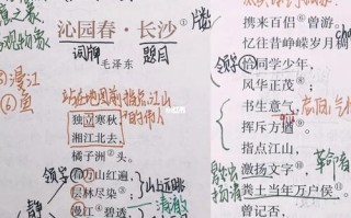 词牌的文学常识（词牌的相关知识）
