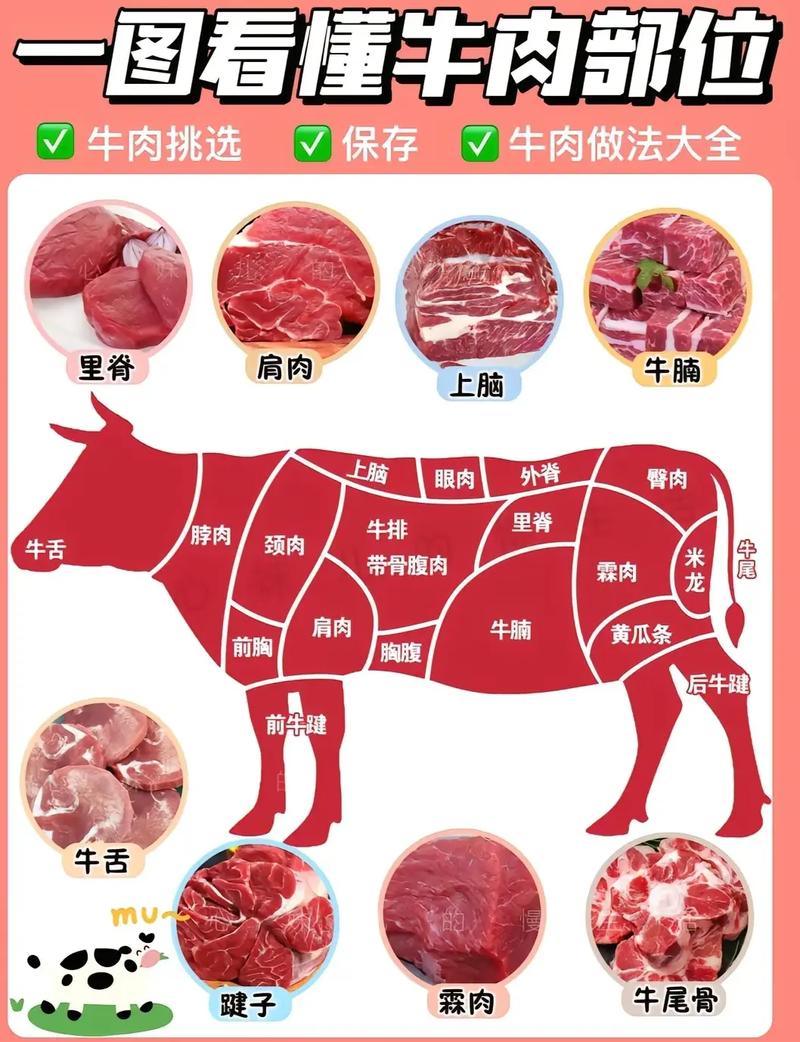 禽类商品常识(禽类商品常识有哪些)-第2张图片-牛逼常识网 禽类商品常识(禽类商品常识有哪些)-第2张图片-牛逼常识网