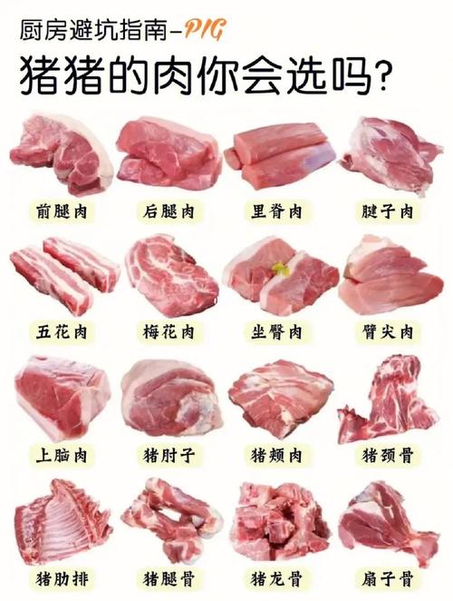 禽类商品常识(禽类商品常识有哪些)-第3张图片-牛逼常识网 禽类商品常识(禽类商品常识有哪些)-第3张图片-牛逼常识网