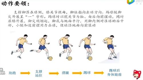 足球常识介绍视频 - 足球常识介绍视频大全-第2张图片-牛逼常识网 足球常识介绍视频 - 足球常识介绍视频大全-第2张图片-牛逼常识网