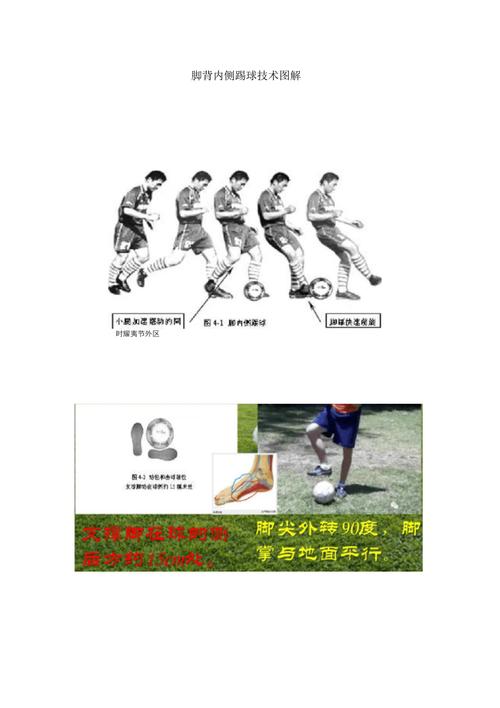 足球常识介绍视频 - 足球常识介绍视频大全-第4张图片-牛逼常识网 足球常识介绍视频 - 足球常识介绍视频大全-第4张图片-牛逼常识网