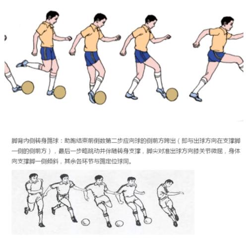 足球常识介绍视频 - 足球常识介绍视频大全-第5张图片-牛逼常识网 足球常识介绍视频 - 足球常识介绍视频大全-第5张图片-牛逼常识网
