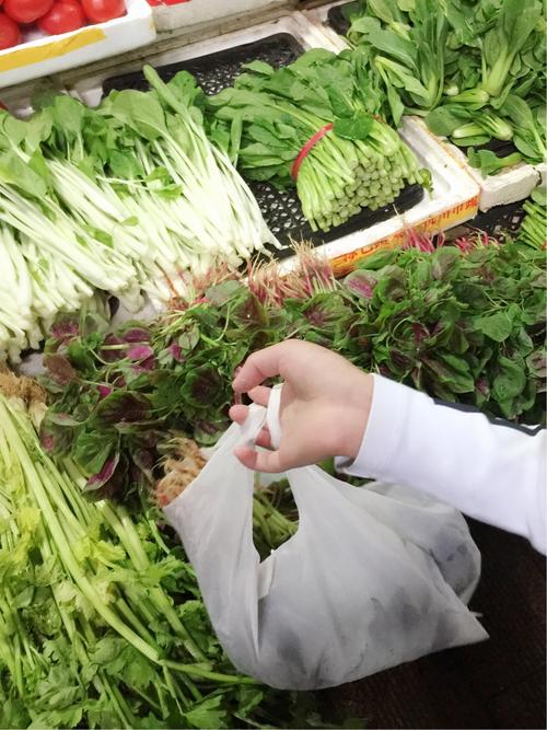 买菜基本常识 - 买菜基本常识有哪些-第3张图片-牛逼常识网 买菜基本常识 - 买菜基本常识有哪些-第3张图片-牛逼常识网