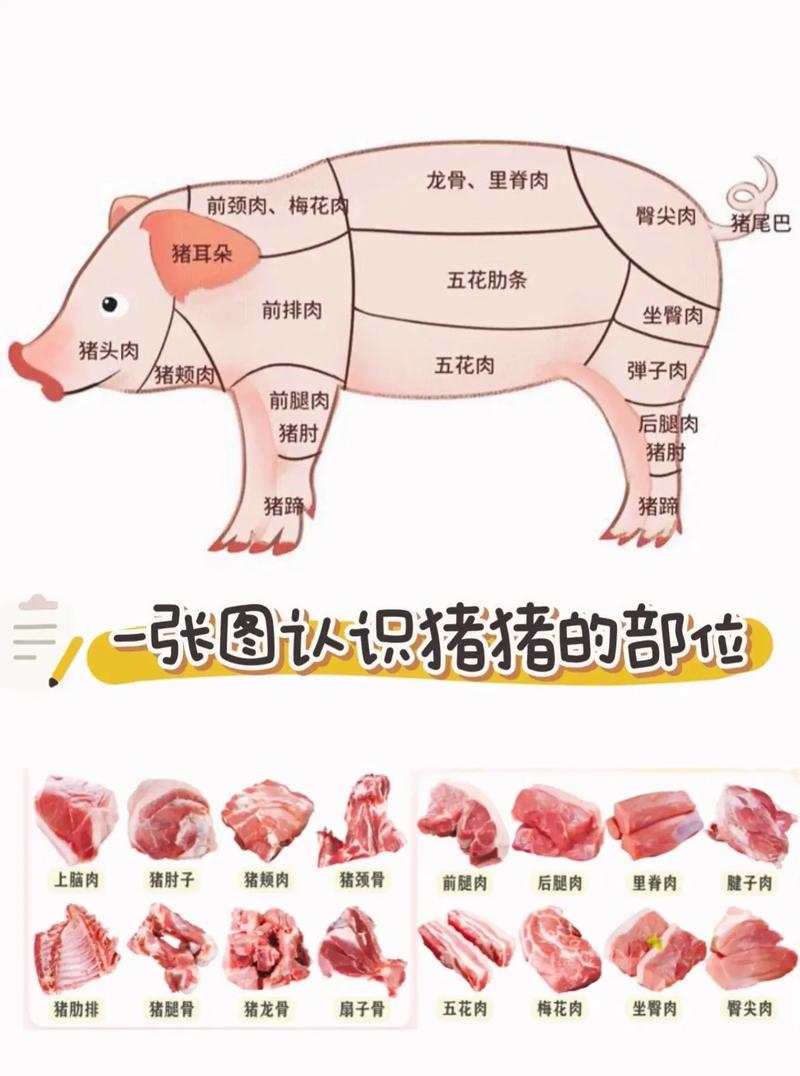 买菜基本常识 - 买菜基本常识有哪些-第5张图片-牛逼常识网 买菜基本常识 - 买菜基本常识有哪些-第5张图片-牛逼常识网