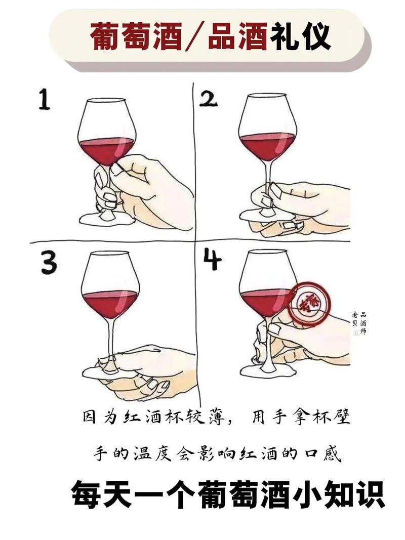 女生红酒小常识(女人红酒有什么好处)-第4张图片-牛逼常识网 女生红酒小常识(女人红酒有什么好处)-第4张图片-牛逼常识网