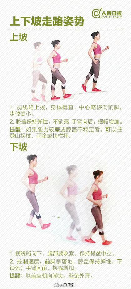 健身步行常识,健身步行常识介绍-第3张图片-牛逼常识网 健身步行常识,健身步行常识介绍-第3张图片-牛逼常识网
