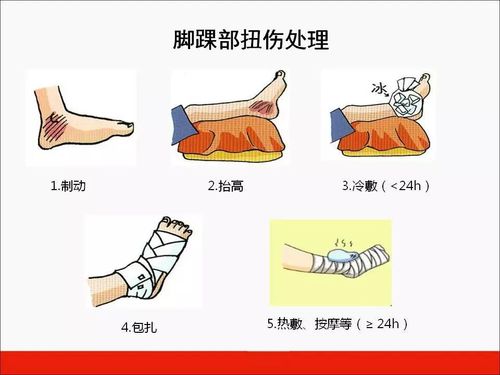 篮球急救常识 - 篮球比赛急救应急预案-第4张图片-牛逼常识网 篮球急救常识 - 篮球比赛急救应急预案-第4张图片-牛逼常识网
