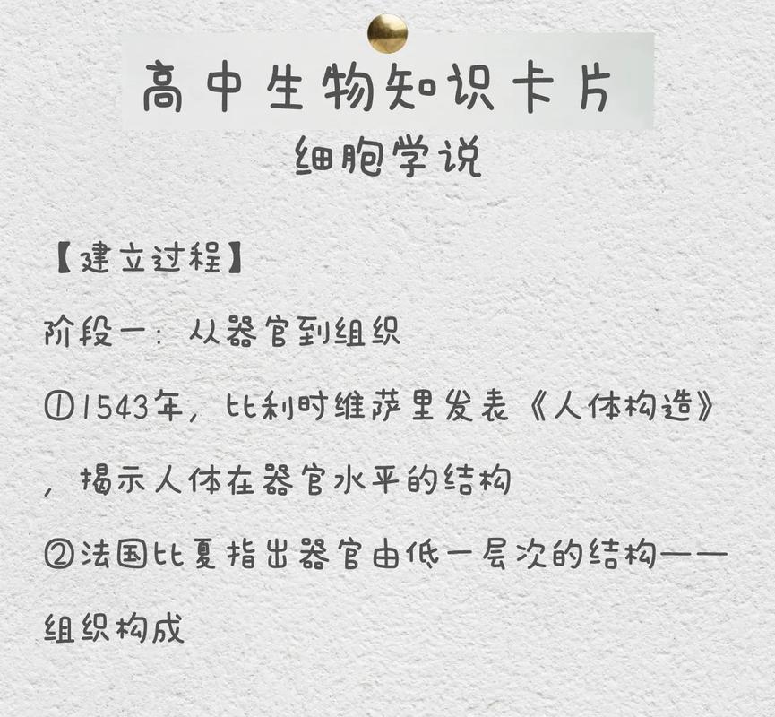 常见常识生物 - 常见常识生物思维导图-第2张图片-牛逼常识网 常见常识生物 - 常见常识生物思维导图-第2张图片-牛逼常识网