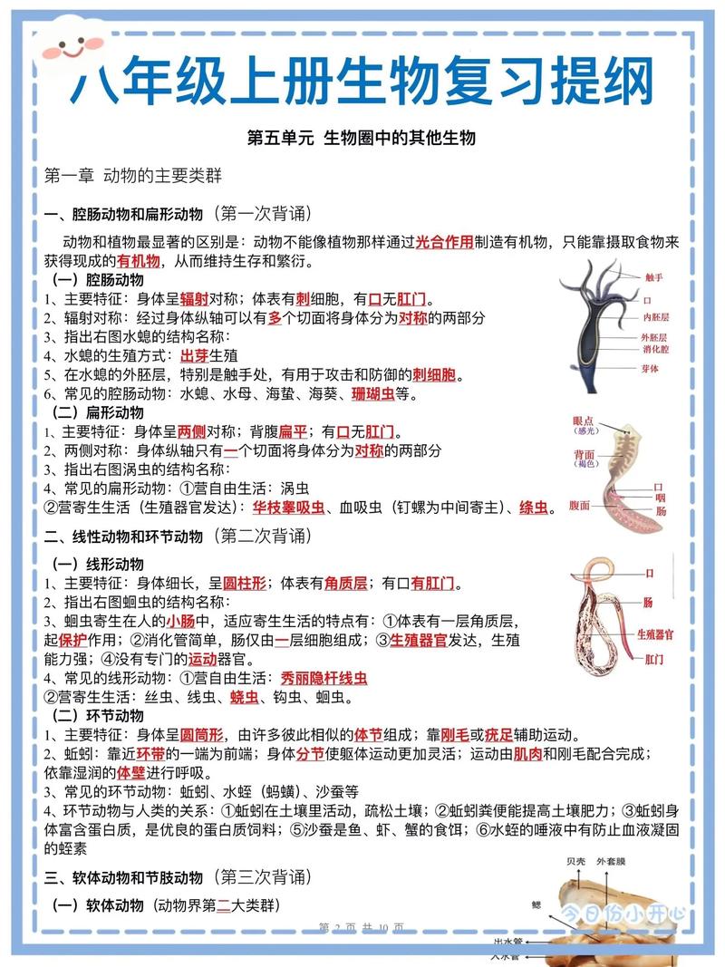 常见常识生物 - 常见常识生物思维导图-第3张图片-牛逼常识网 常见常识生物 - 常见常识生物思维导图-第3张图片-牛逼常识网