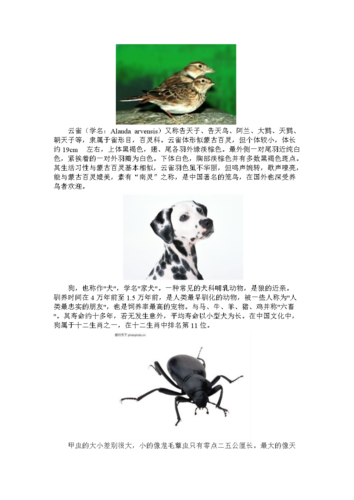 常见常识生物 - 常见常识生物思维导图-第5张图片-牛逼常识网 常见常识生物 - 常见常识生物思维导图-第5张图片-牛逼常识网