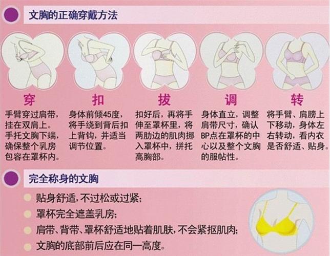 内衣内裤常识 - 内衣内裤常识怎么写-第3张图片-牛逼常识网 内衣内裤常识 - 内衣内裤常识怎么写-第3张图片-牛逼常识网