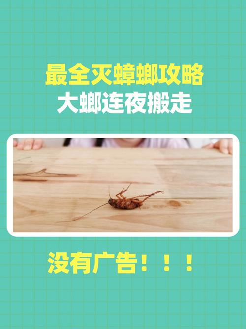 修改常识小强(修改常识app)-第3张图片-牛逼常识网 修改常识小强(修改常识app)-第3张图片-牛逼常识网