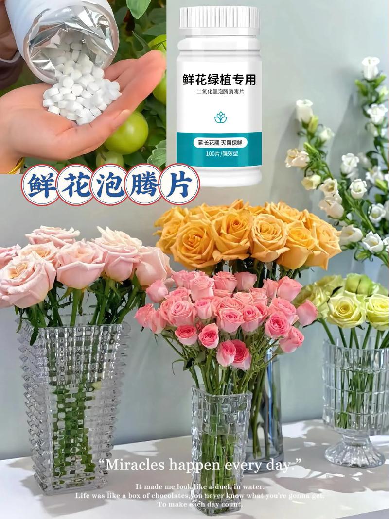 学习各种常识,常识应该怎么学-第2张图片-牛逼常识网 学习各种常识,常识应该怎么学-第2张图片-牛逼常识网