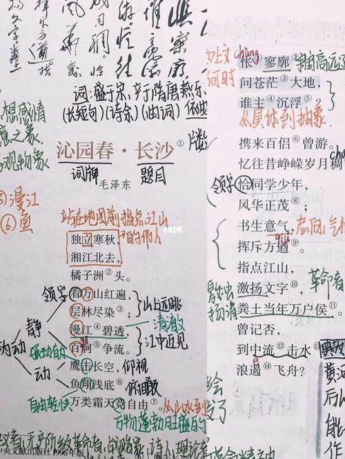 词牌的文学常识(词牌的相关知识)-第1张图片-牛逼常识网 词牌的文学常识(词牌的相关知识)-第1张图片-牛逼常识网
