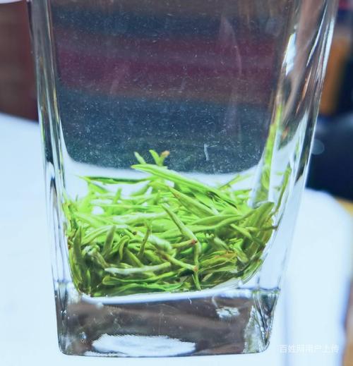 竹山绿茶常识,竹山的什么茶叶比较有名-第1张图片-牛逼常识网 竹山绿茶常识,竹山的什么茶叶比较有名-第1张图片-牛逼常识网