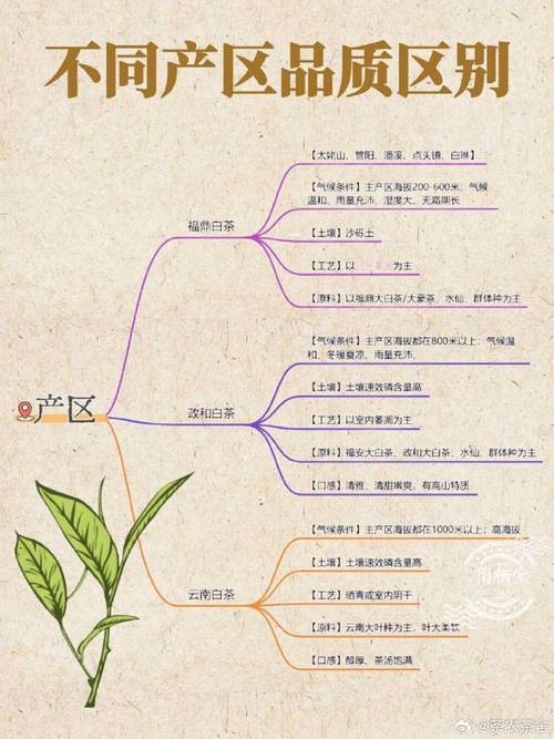 茶叶知识常识,茶叶知识常识有哪些-第5张图片-牛逼常识网 茶叶知识常识,茶叶知识常识有哪些-第5张图片-牛逼常识网