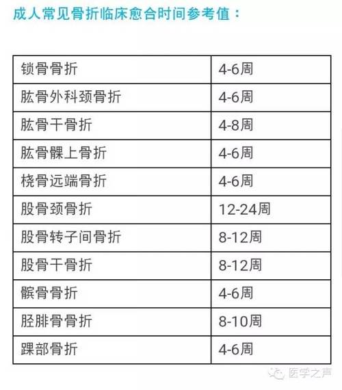 骨折的小常识,骨折的小常识有哪些-第5张图片-牛逼常识网 骨折的小常识,骨折的小常识有哪些-第5张图片-牛逼常识网