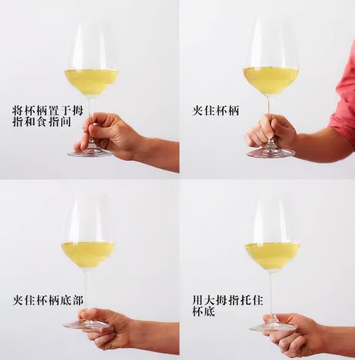 红酒常识礼仪 - 红酒品酒礼仪-第4张图片-牛逼常识网 红酒常识礼仪 - 红酒品酒礼仪-第4张图片-牛逼常识网