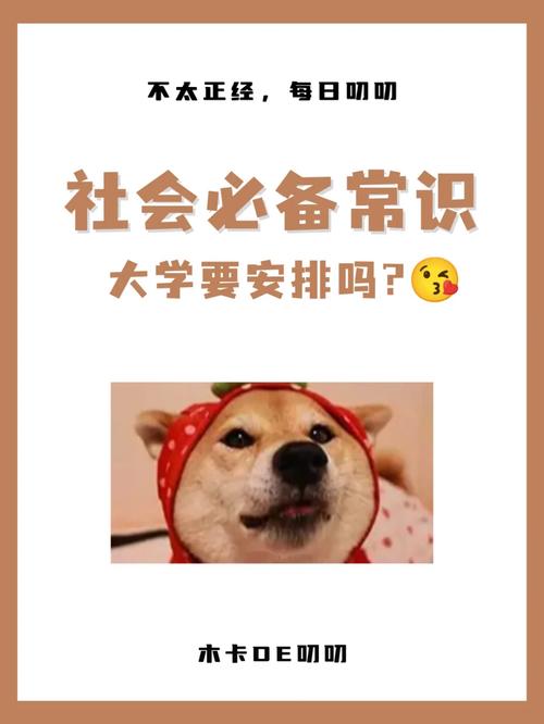 常识课程种类(常识学科是哪些)-第4张图片-牛逼常识网 常识课程种类(常识学科是哪些)-第4张图片-牛逼常识网