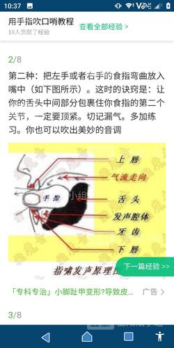 常识变换口哨之类的(常识变换口哨17)-第3张图片-牛逼常识网 常识变换口哨之类的(常识变换口哨17)-第3张图片-牛逼常识网