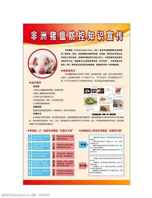 病毒基本常识 - 病毒的基本介绍-第6张图片-牛逼常识网 病毒基本常识 - 病毒的基本介绍-第6张图片-牛逼常识网