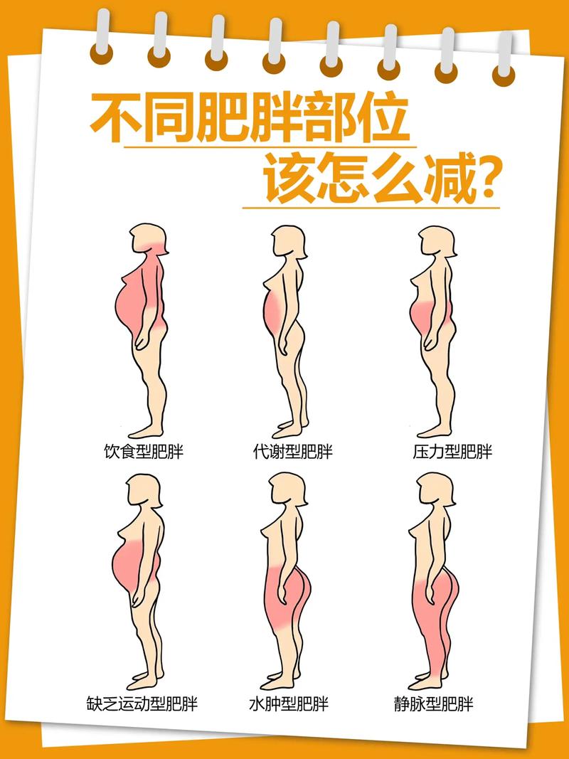 减肥禁忌常识,减肥禁忌常识图片-第3张图片-牛逼常识网 减肥禁忌常识,减肥禁忌常识图片-第3张图片-牛逼常识网