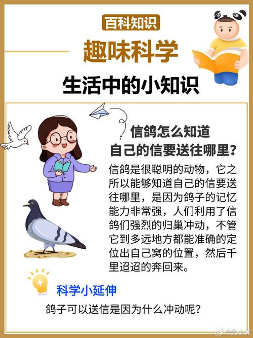 科学类小常识,科学小常识科学小常识-第6张图片-牛逼常识网 科学类小常识,科学小常识科学小常识-第6张图片-牛逼常识网
