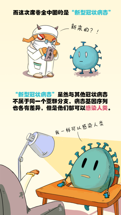 冠状病毒常识(冠状病毒知识问答)-第8张图片-牛逼常识网 冠状病毒常识(冠状病毒知识问答)-第8张图片-牛逼常识网