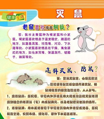 鼠年春节常识,鼠年春节是哪一天-第5张图片-牛逼常识网 鼠年春节常识,鼠年春节是哪一天-第5张图片-牛逼常识网