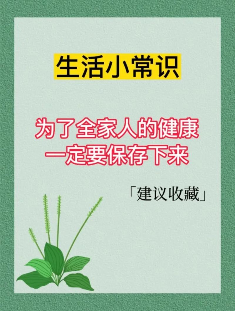 科学自然常识,科学自然常识有什么-第6张图片-牛逼常识网 科学自然常识,科学自然常识有什么-第6张图片-牛逼常识网