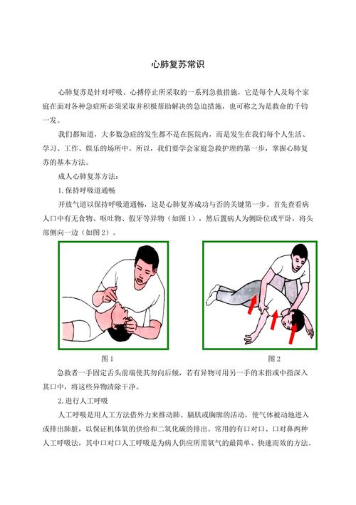 人体急救常识 - 人体急救常识知识点-第1张图片-牛逼常识网 人体急救常识 - 人体急救常识知识点-第1张图片-牛逼常识网