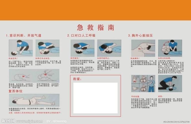 人体急救常识 - 人体急救常识知识点-第5张图片-牛逼常识网 人体急救常识 - 人体急救常识知识点-第5张图片-牛逼常识网